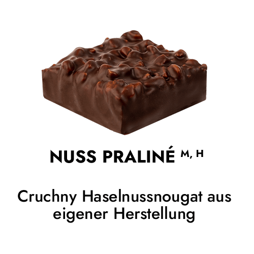 Haselnuss Praline