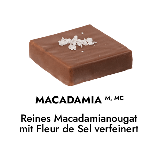 Macadamia Praline Macadamia Praline